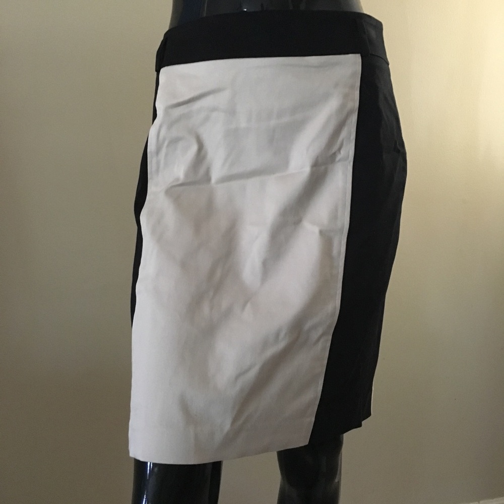 Ann Taylor skirt